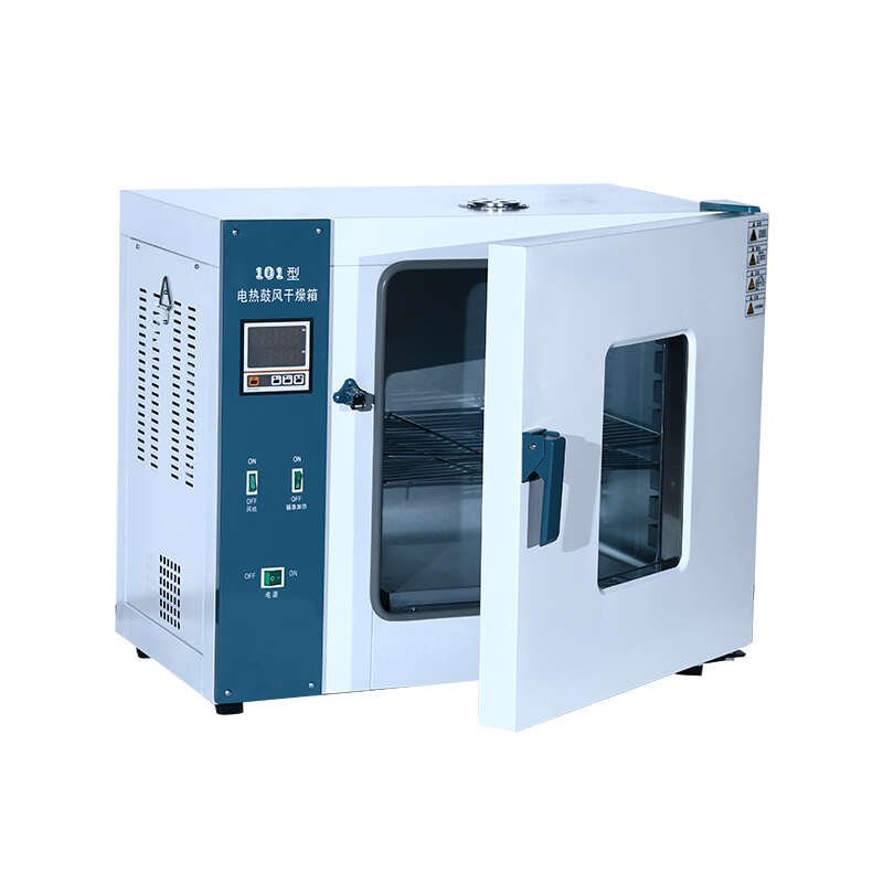 225L冷钢材质电热鼓风干燥箱250度电热恒温干燥箱烤箱烘箱